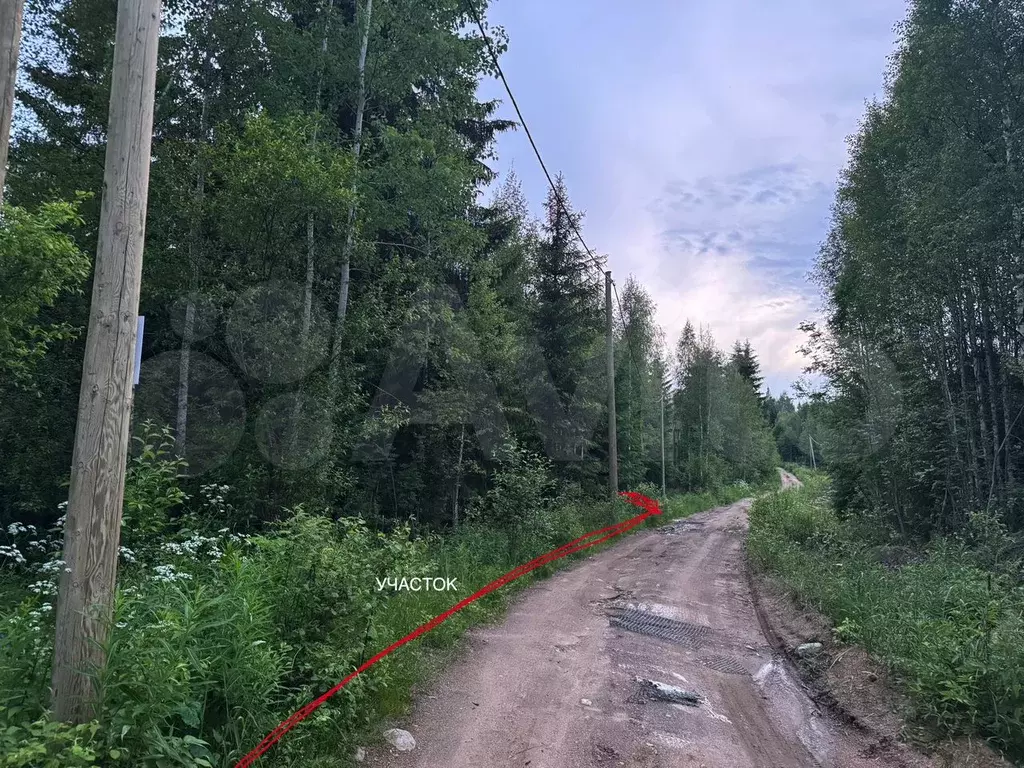 Участок 10 сот. (СНТ, ДНП) - Фото 0