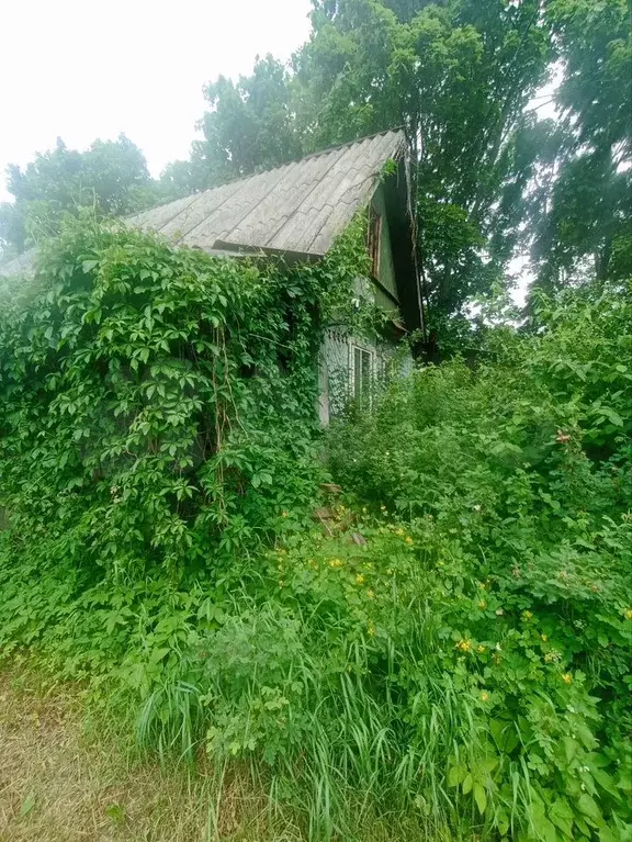 Дом 50 м на участке 6 сот. - Фото 1