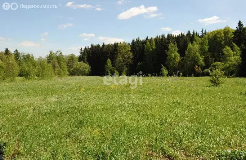 Участок в Тукаевский район, Малошильнинское сельское поселение, село ... - Фото 1