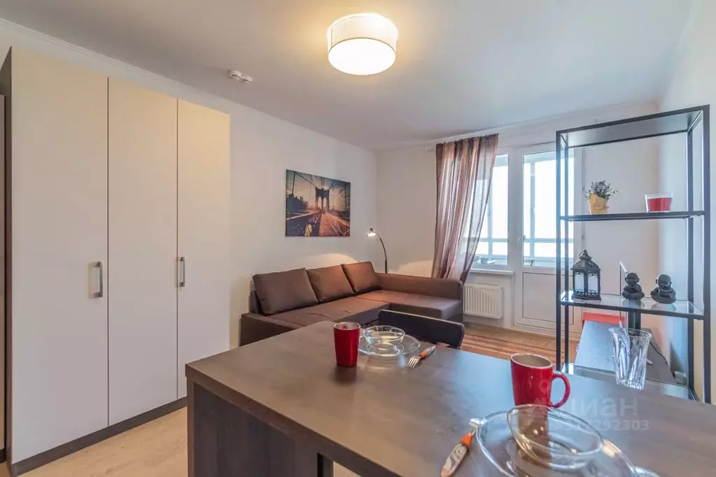 Студия Санкт-Петербург просп. Энергетиков, 9к6 (24.0 м) - Фото 1