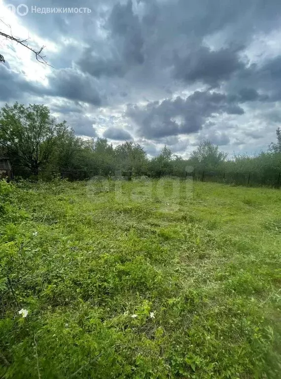 Участок в Рассветовское сельское поселение, садоводческое ... - Фото 0