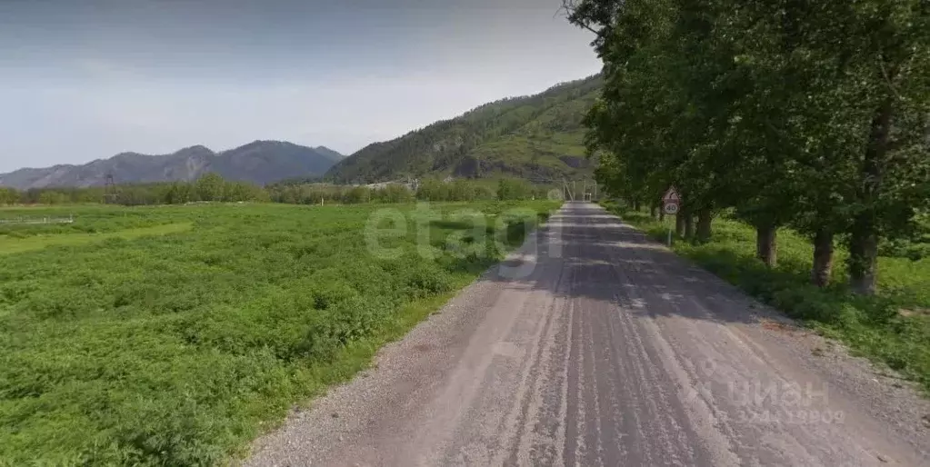 Участок в Алтай, Чемальский район, с. Анос Набережная ул. (15.0 сот.) - Фото 1