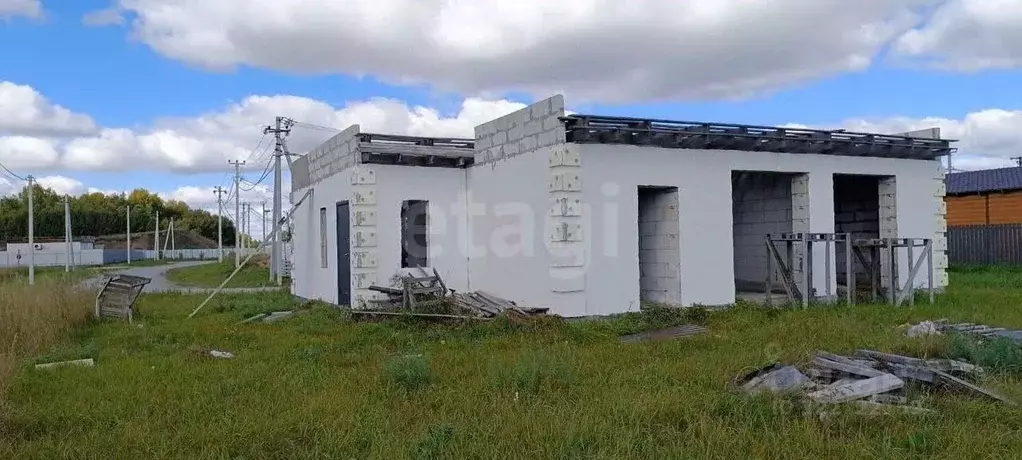 Дом в Новосибирская область, Ордынский район, Порт Пичуги кп ул. ... - Фото 1