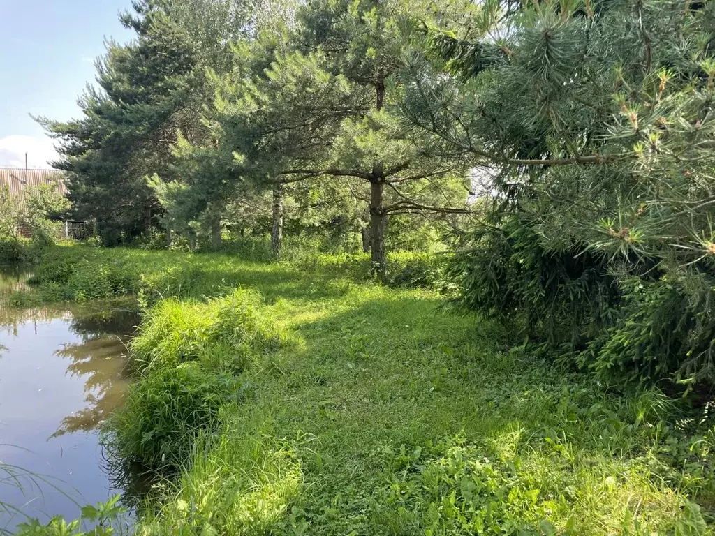 Участок в Московская область, Раменский муниципальный округ, д. ... - Фото 2