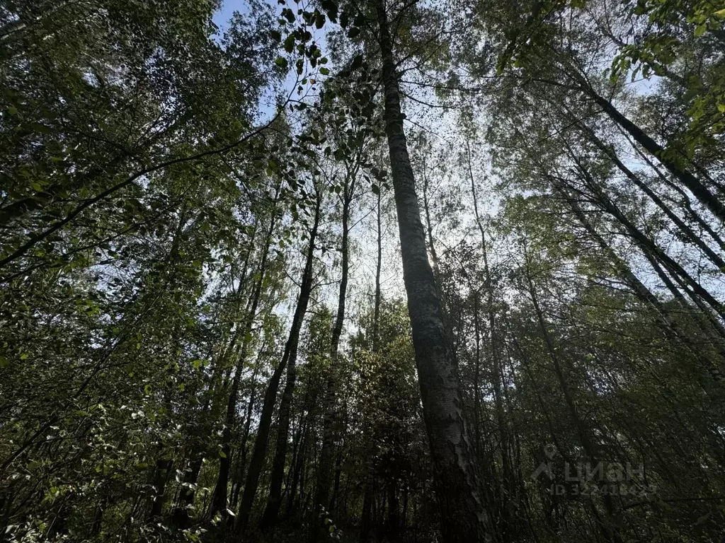 Участок в Московская область, Клин городской округ, Милухино СНТ 210 ... - Фото 1