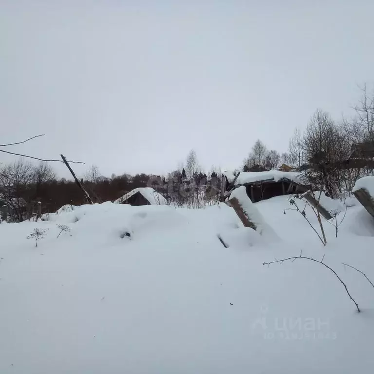 Участок в Коми, Сыктывдинский район, с. Выльгорт Советская ул., 56 ... - Фото 1