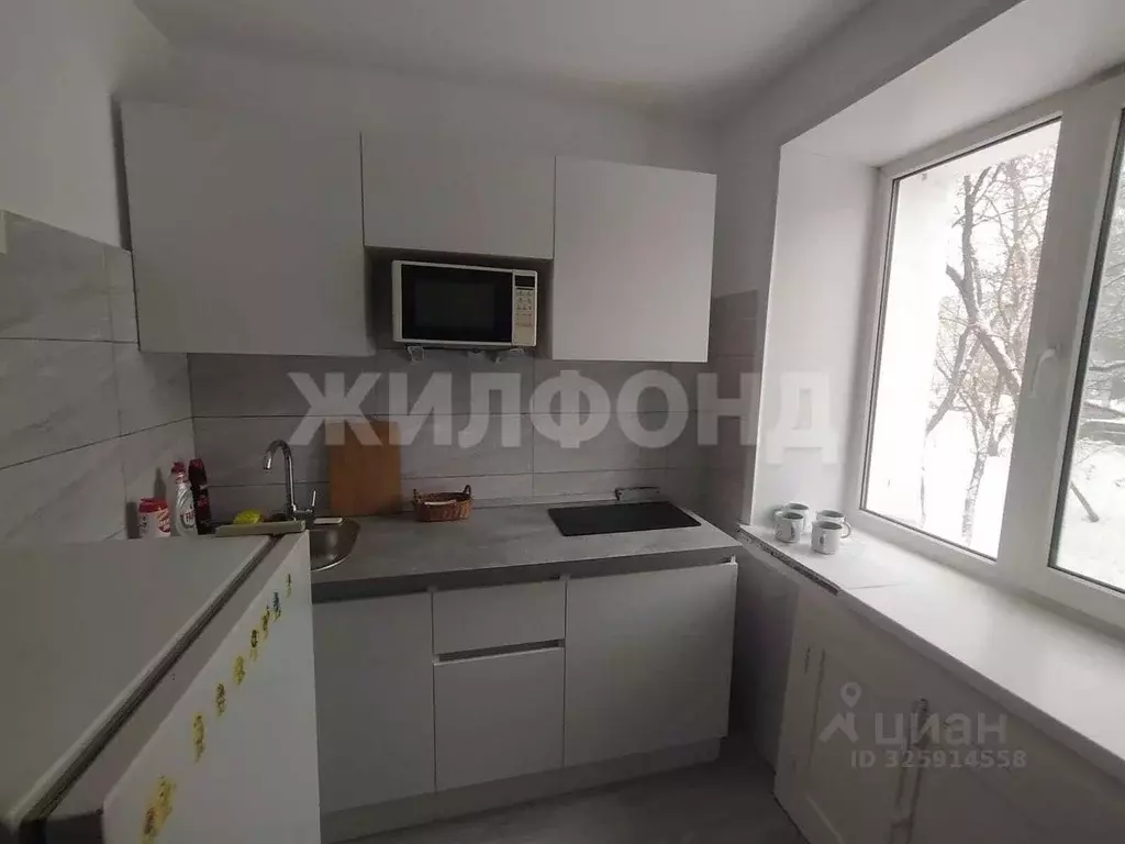 2-к кв. Новосибирская область, Новосибирск ул. Дуси Ковальчук, 272 ... - Фото 1