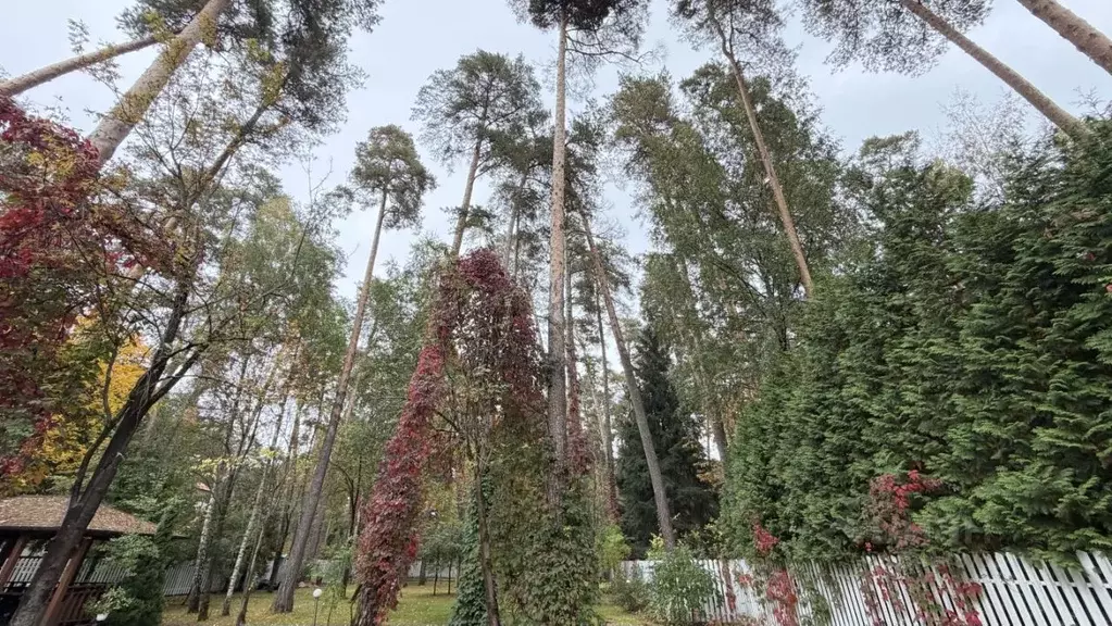 Участок в Московская область, Одинцовский городской округ, Красная ... - Фото 2