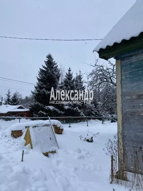 Дом в Ленинградская область, Приозерск ул. Короленко, 8 (62 м) - Фото 2