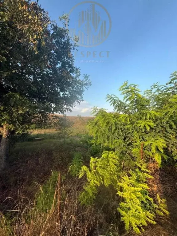 Участок в Ставропольский край, Минераловодский муниципальный округ, с. ... - Фото 2