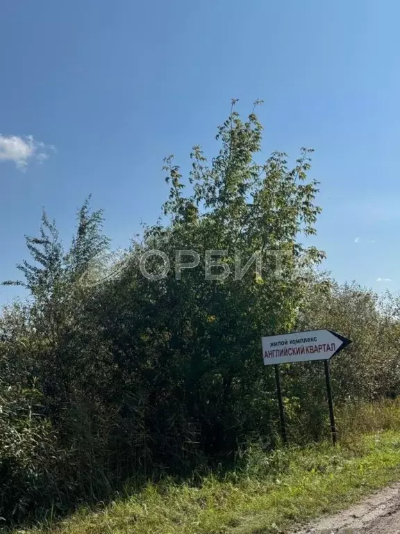 Участок в Тюменская область, Тюмень Рябинка-2 садовое товарищество, ... - Фото 0