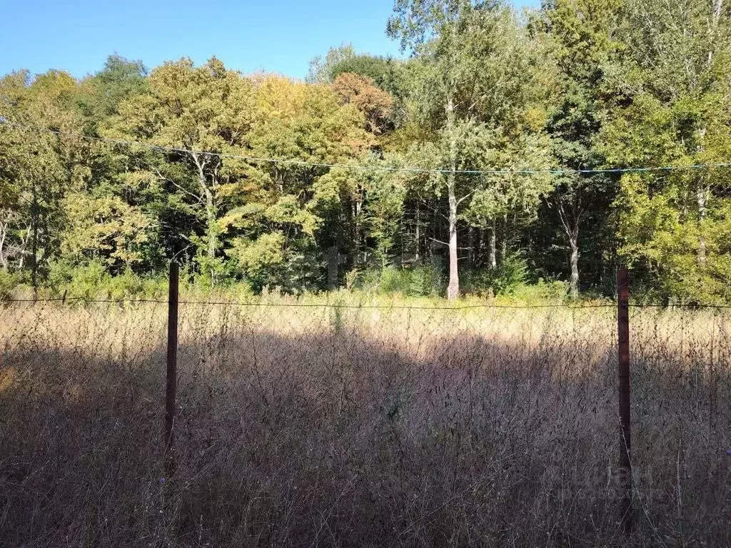 Участок в Краснодарский край, Геленджик городской округ, с. Адербиевка ... - Фото 1