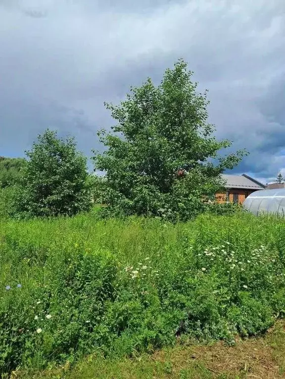 Участок в Удмуртия, Ижевск Сельская ул. (15.0 сот.) - Фото 2