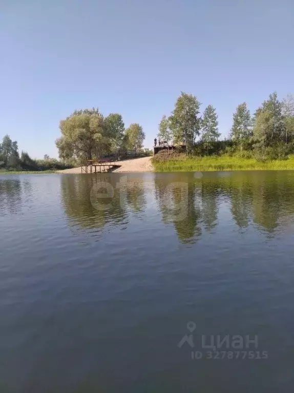 Участок в Новосибирская область, Колыванский район, Сибирская Волость ... - Фото 1