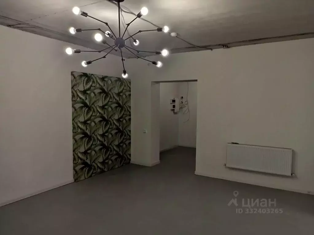 Помещение свободного назначения в Северная Осетия, Владикавказ ул. ... - Фото 2