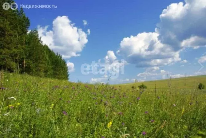 Участок в Пермский край, Ильинский муниципальный округ, село Филатово ... - Фото 2