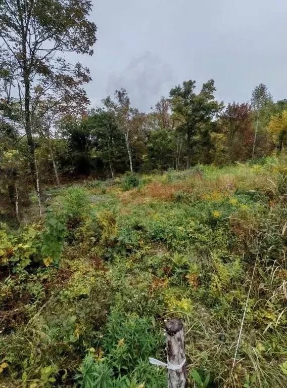 Участок в Приморский край, Артем Надежда-3 СТ,  (10.0 сот.) - Фото 1