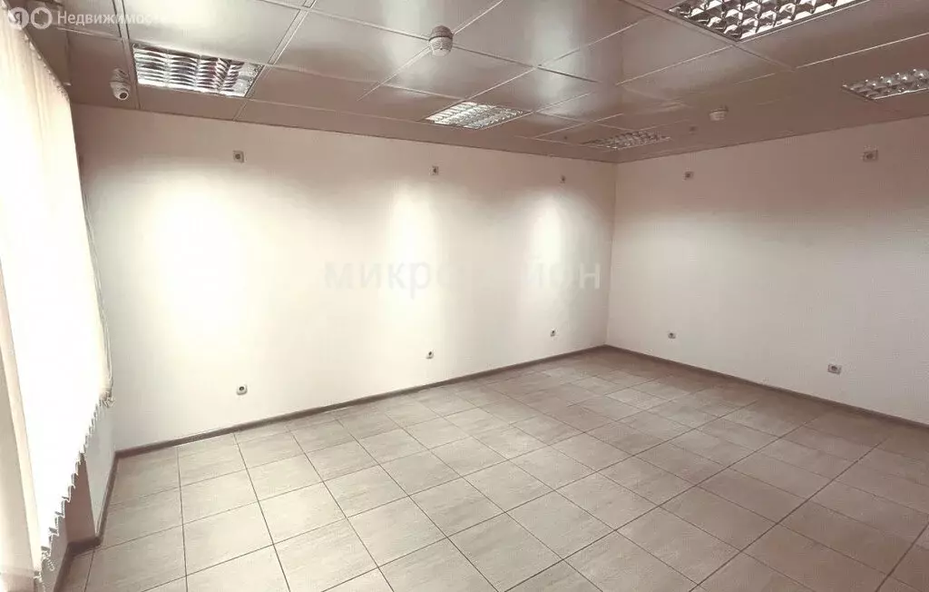 Торговая площадь (24.2 м) - Фото 2