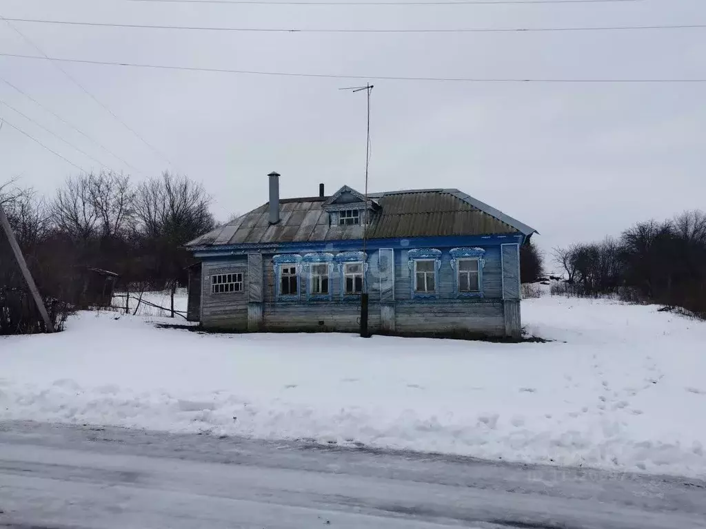 Дом в Нижегородская область, Шатковский муниципальный округ, с. Новое ... - Фото 1