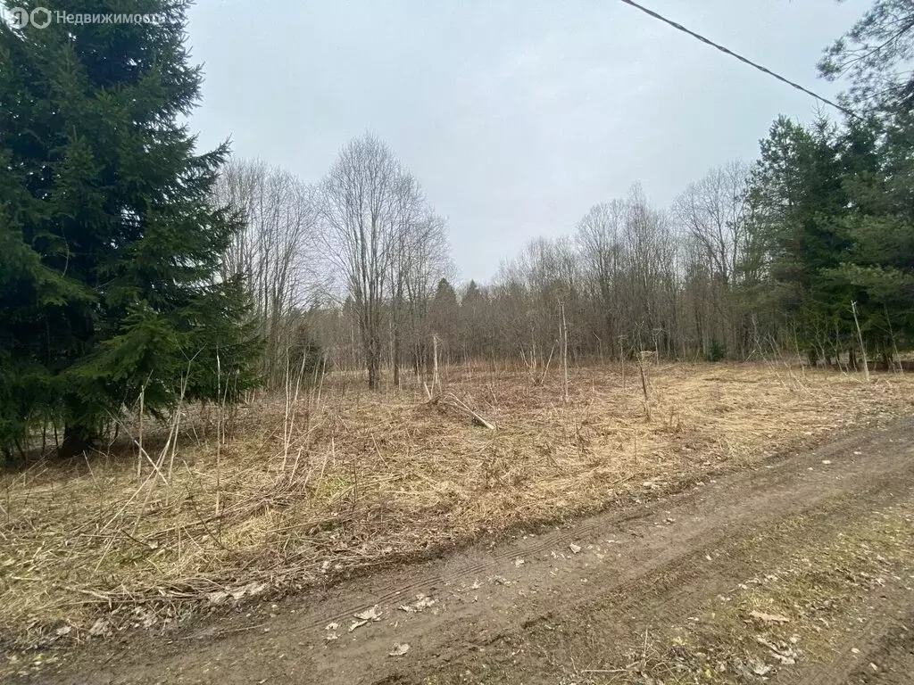 Участок в Волосовский район, Бегуницкое сельское поселение, деревня ... - Фото 2