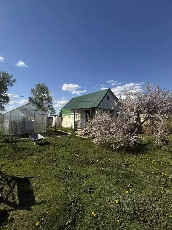 Дом в Томская область, Шегарский район, Дачник СНТ 10 (60 м) - Фото 1