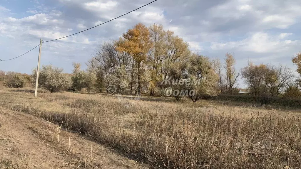 Участок в Волгоградская область, Среднеахтубинский район, Куйбышевское ... - Фото 1