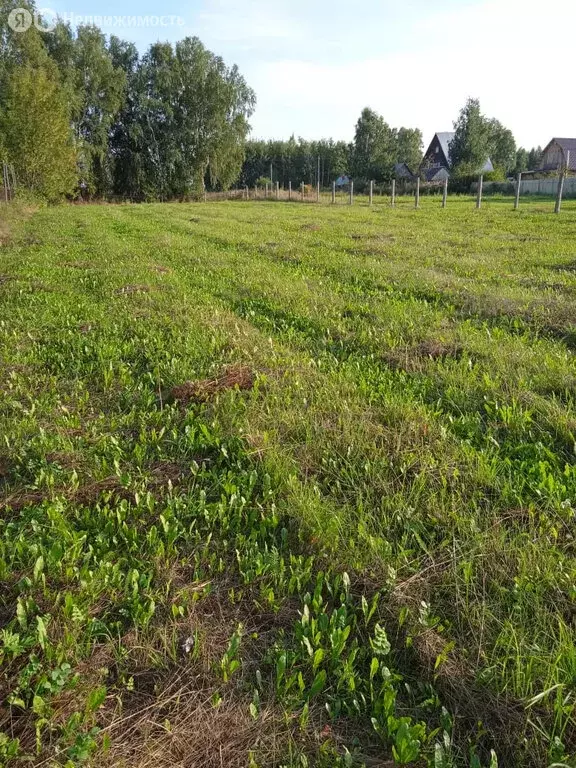 Участок в Тюмень, садоводческое некоммерческое товарищество ... - Фото 1