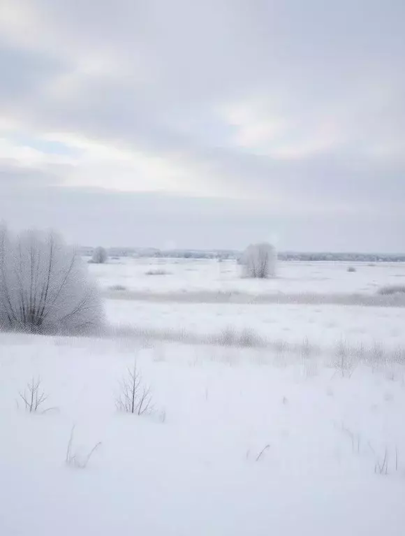 Участок в Тульская область, Дубенский район, Протасовское с/пос, с. ... - Фото 1