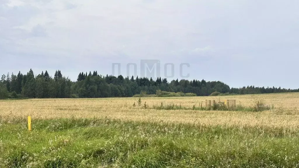 Участок в Свердловская область, Алапаевск  (220001.0 сот.) - Фото 1