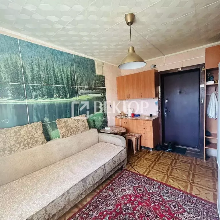 Комната Костромская область, Кострома ул. Димитрова, 18 (12.3 м) - Фото 1