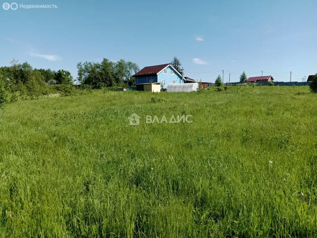 Участок в Вологодский муниципальный округ, деревня Мальгино (Подлесный ... - Фото 0