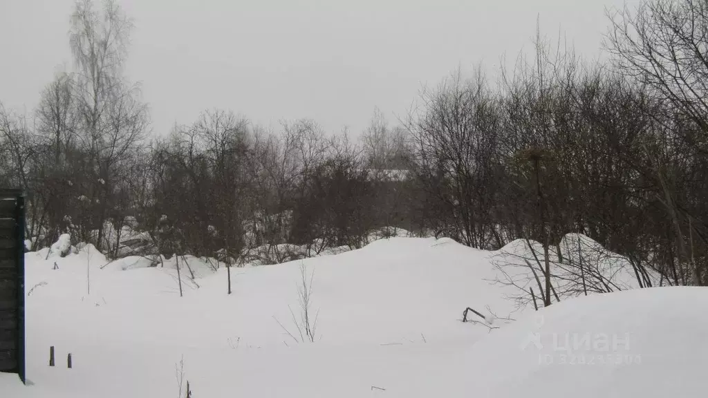 Участок в Московская область, Рузский муниципальный округ, д. Шелковка ... - Фото 1