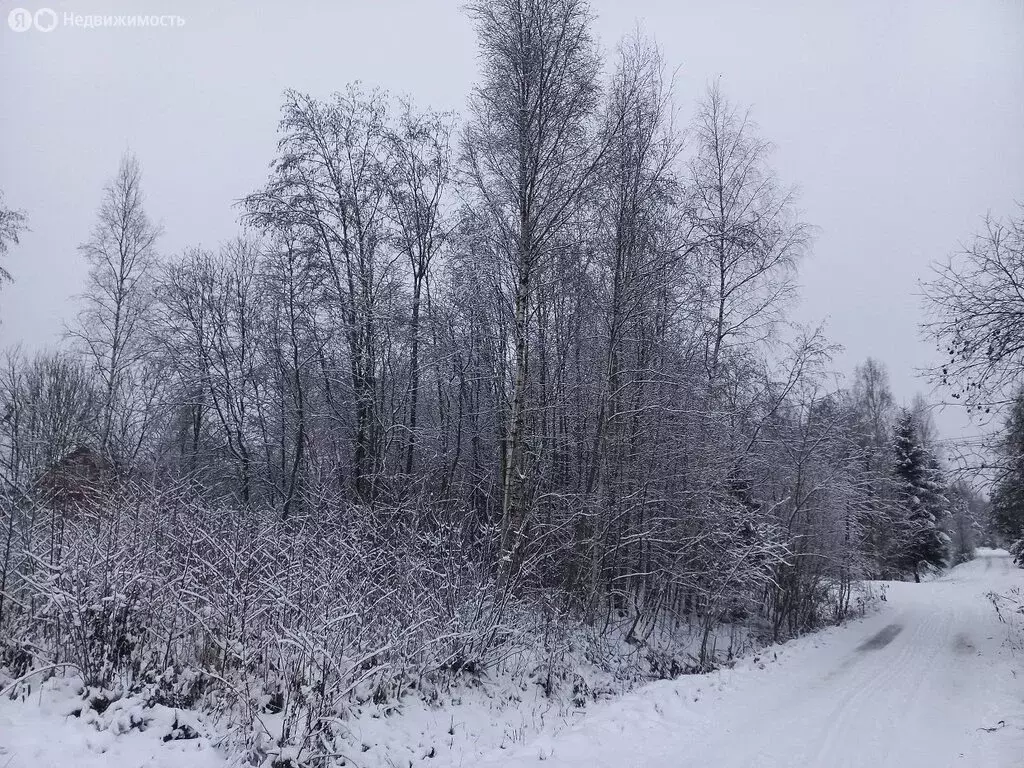 Участок в Мгинское городское поселение, садовое товарищество Славянка, ... - Фото 0