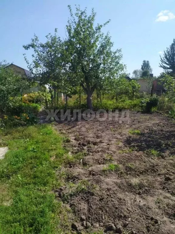 Дом в Брянская область, Брянск Дружба садовое общество, 2 (16 м) - Фото 0