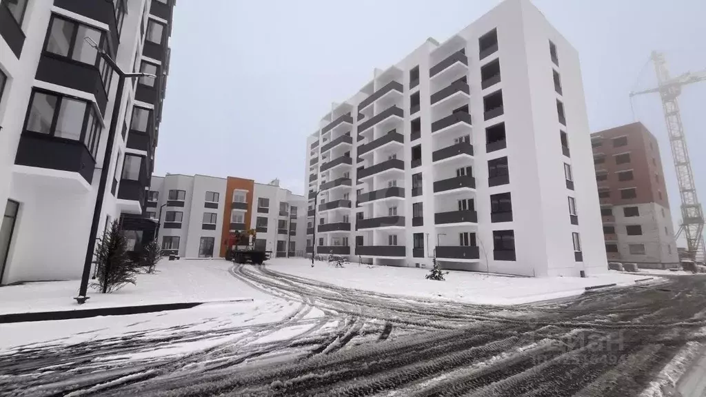 1-к кв. Воронежская область, Борисоглебск Аэродромная ул., 18Г (34.11 ... - Фото 1