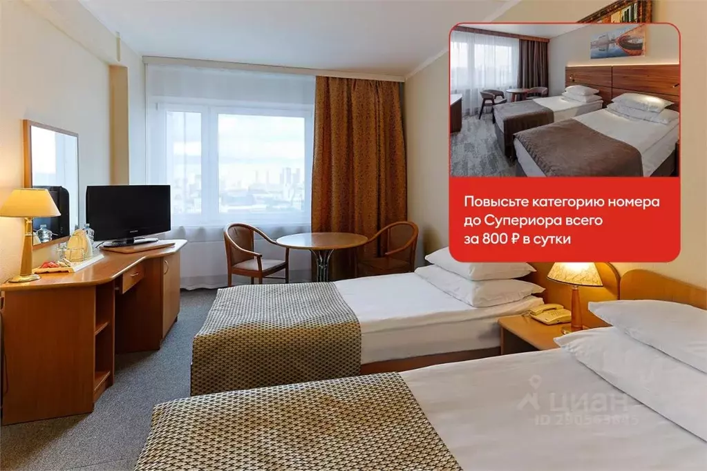 Комната Москва Измайловское ш., 71КА (21.0 м) - Фото 2