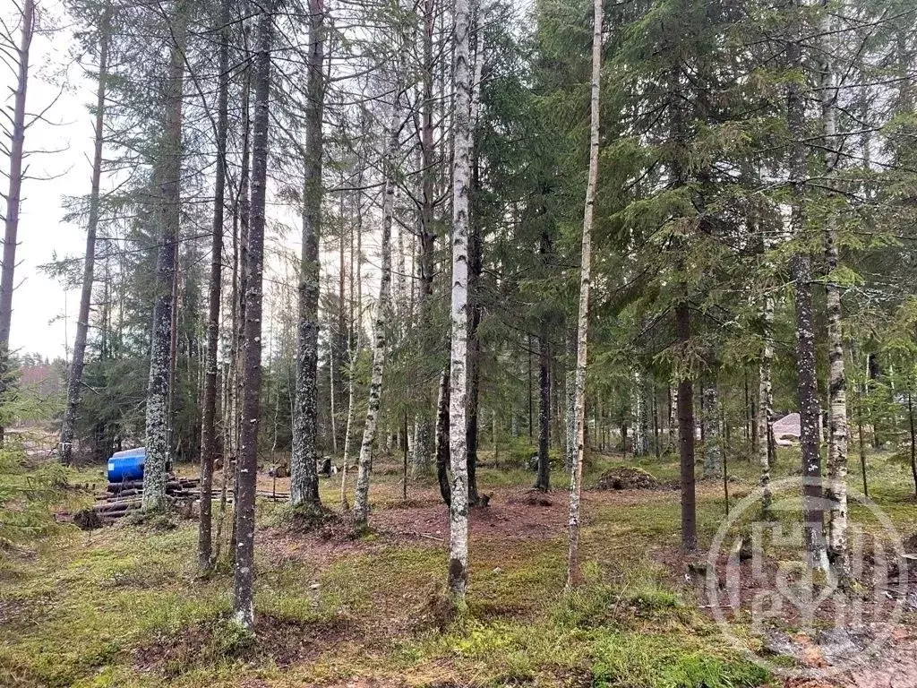 Участок в Ленинградская область, Выборгский район, Полянское с/пос, ... - Фото 2