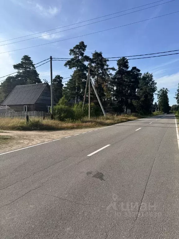 Участок в Ленинградская область, Приозерский район, Мельниковское ... - Фото 2