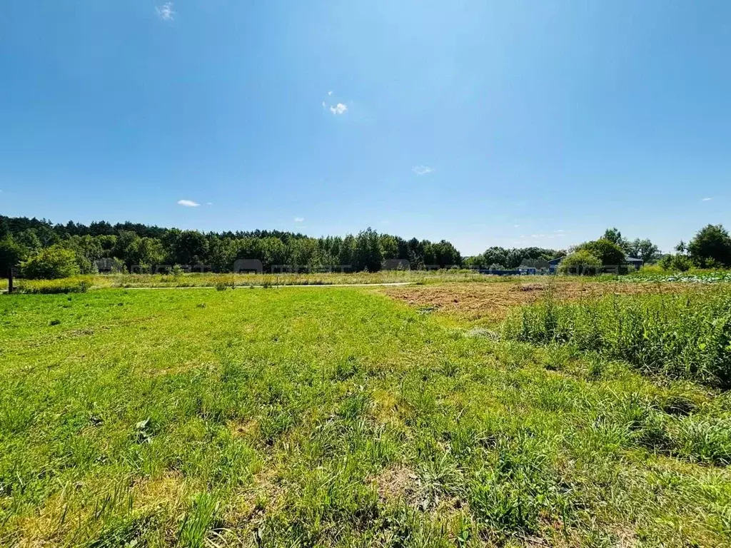 Участок в Татарстан, Высокогорский район, д. Чернышевка Лесная ул. ... - Фото 2