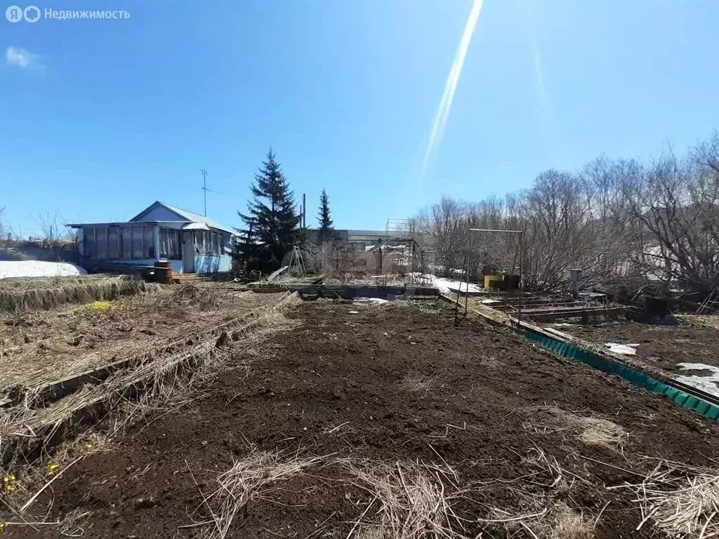 Участок в Камчатский край, Елизовский муниципальный округ, посёлок ... - Фото 2