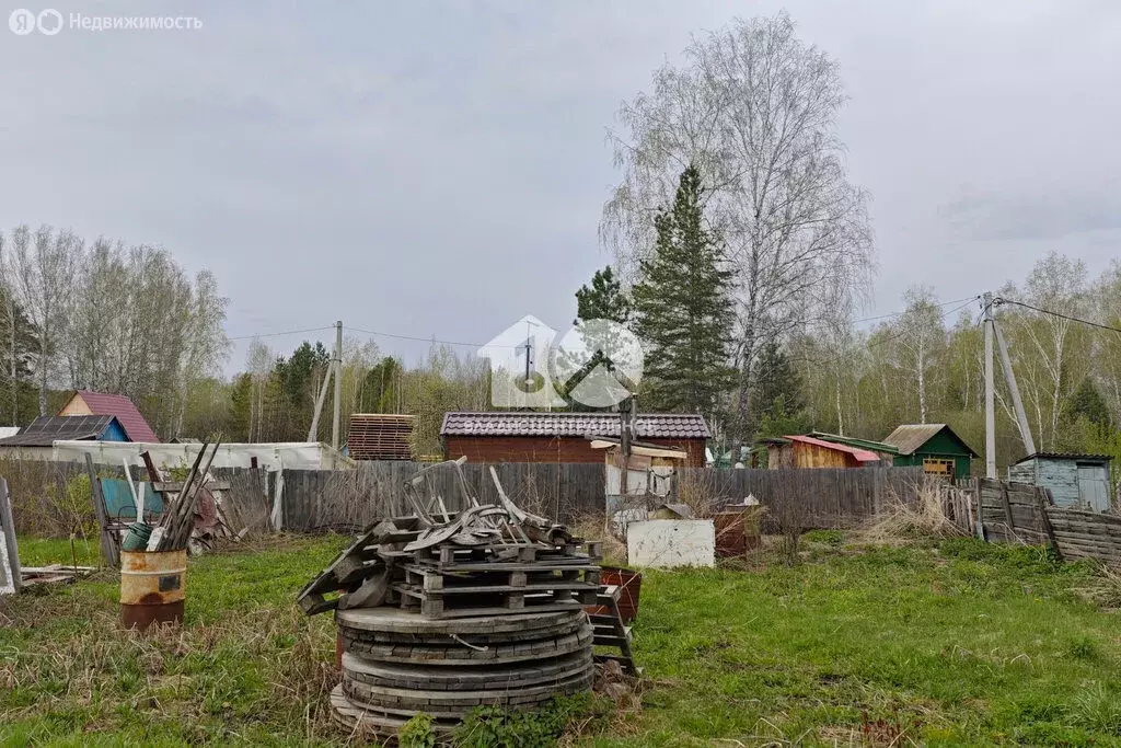 Участок в Новосибирск, СНТ Любитель, 2-й проезд (3 м) - Фото 1