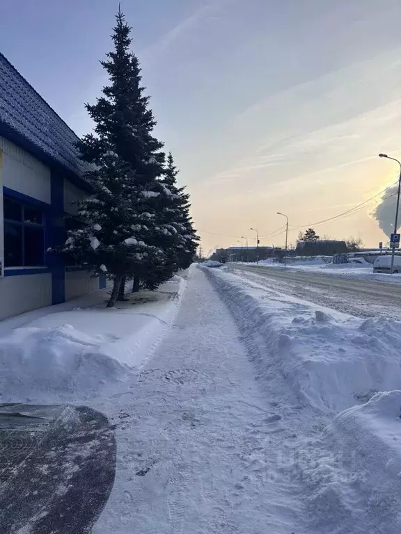 Склад в Тюменская область, Тюмень ул. Энергетиков, 55с6 (490 м) - Фото 2