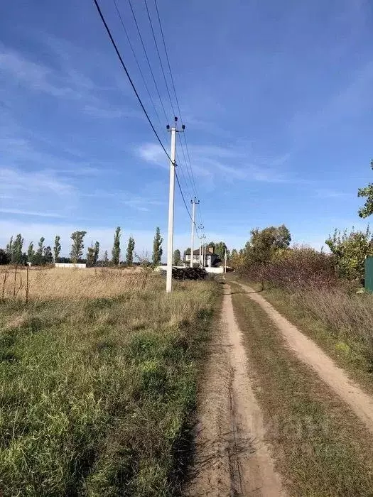 Участок, 12 сот., поселения (ижс) - Фото 0