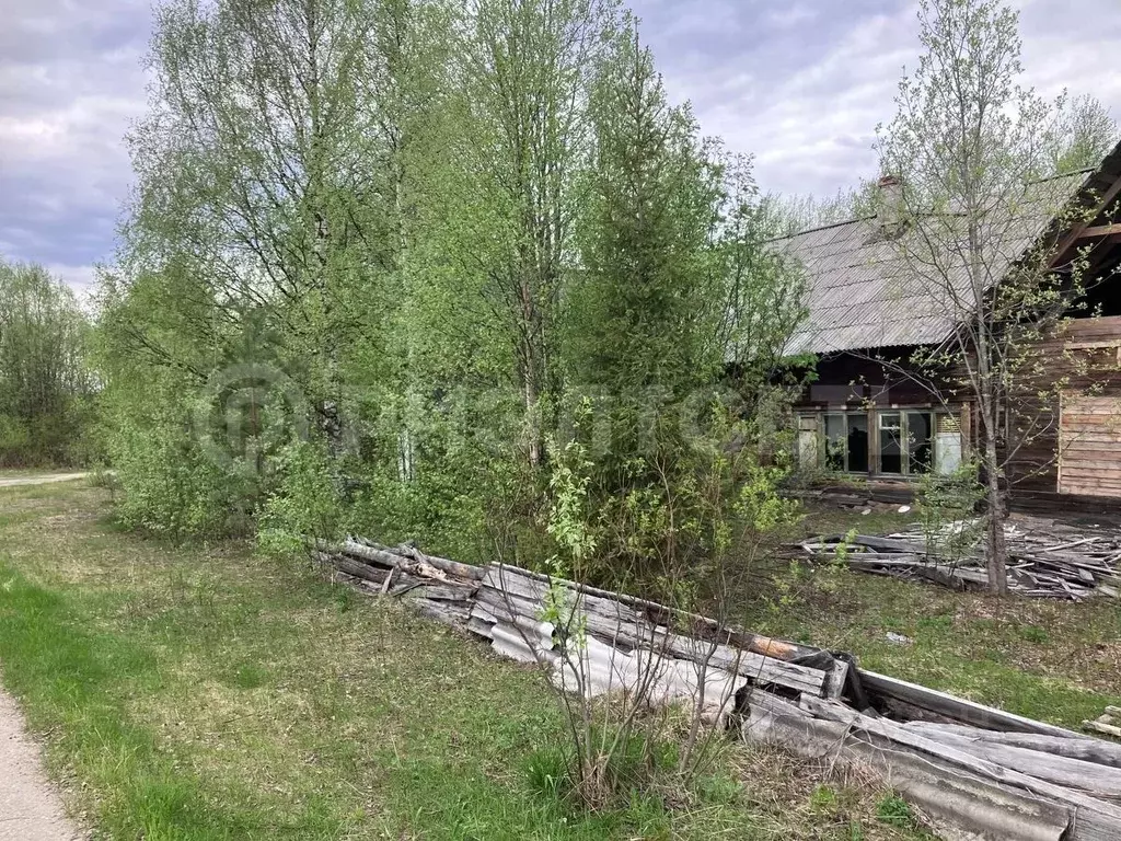 Участок в Мурманская область, Ковдорский муниципальный округ, Куропта ... - Фото 2