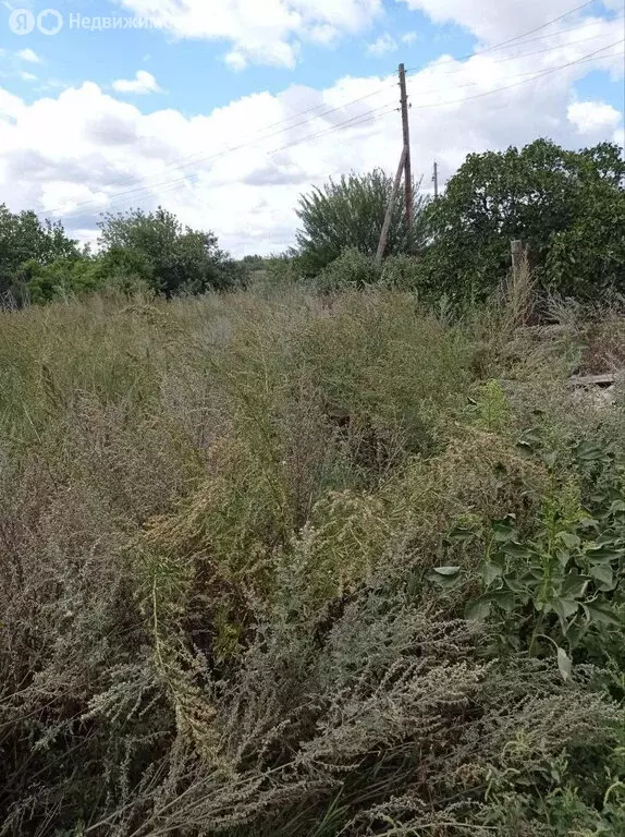 Участок в Бобровка, Садовая улица, 44 (17 м) - Фото 2