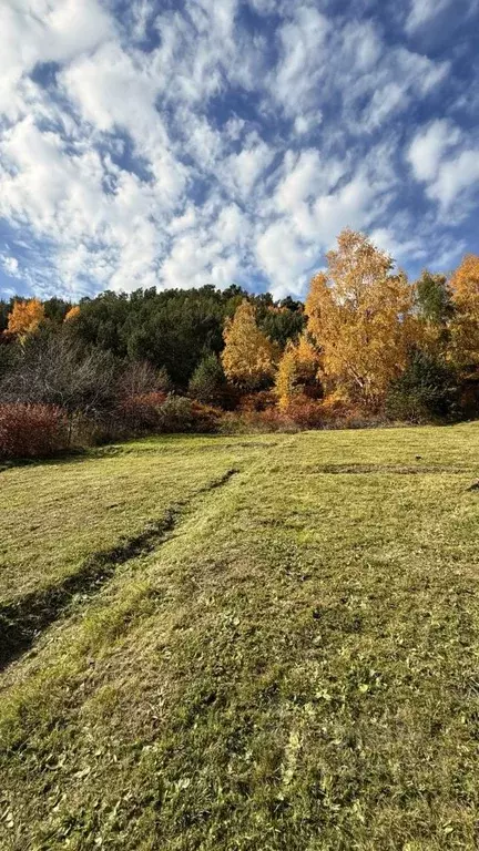 Участок в Иркутская область, Иркутский муниципальный округ, Листвянка ... - Фото 2