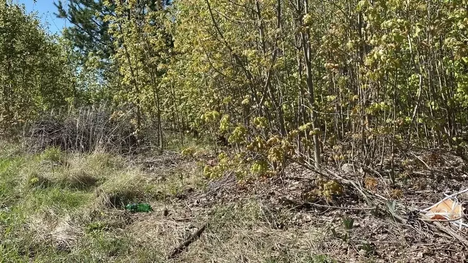 Участок в Московская область, Кашира городской округ, пос. Зендиково, ... - Фото 0