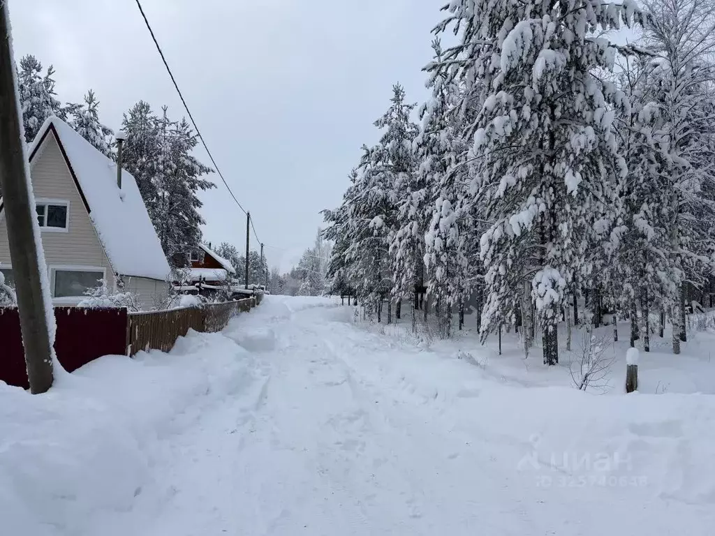 Участок в Коми, Корткеросский район, Посад СДТ 1-я линия (10.31 сот.) - Фото 2