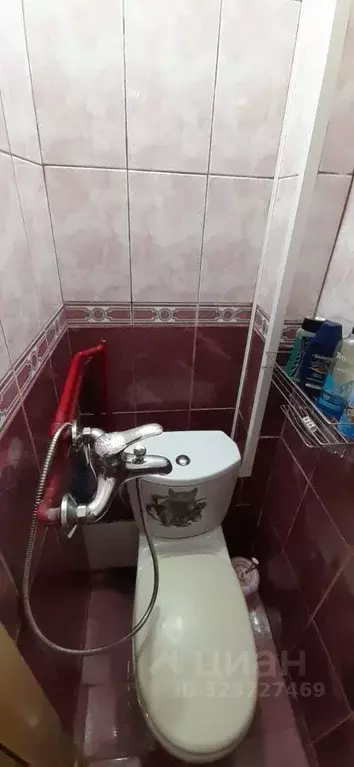 Студия Красноярский край, Красноярск ул. Гастелло, 27 (14.0 м) - Фото 2