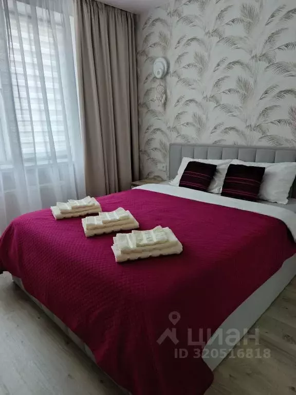 1-к кв. Калининградская область, Калининград ул. Сержанта Мишина, 81к4 ... - Фото 0